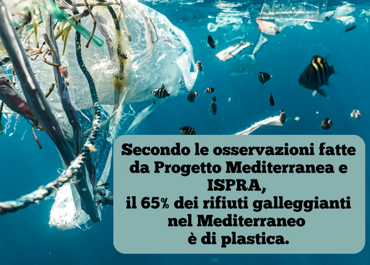 65x100 di plastica in mediterraneo.png